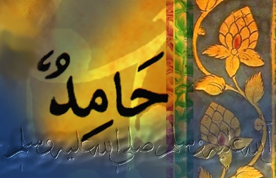 prophet muhammad name wallpaper, muhammad, hammid