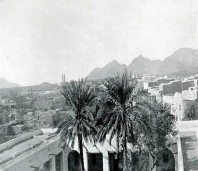 date trees old madina